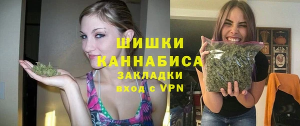 мдпв Волоколамск