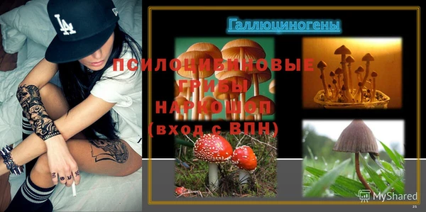 тгк Володарск