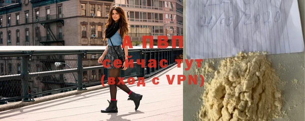 тгк Володарск