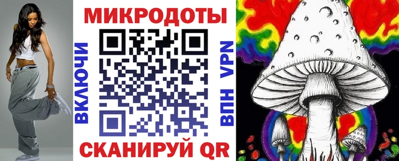 Псилоцибиновые грибы Psilocybe  Данков 